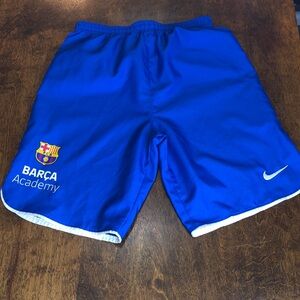 Nike Blue Shorts Size L